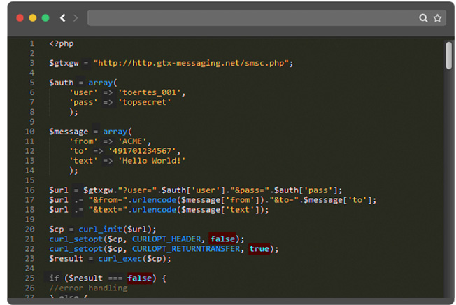 SMS Gateway API Code Example